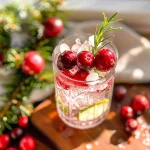 Cranberry Gin and Tonic with Rosemary