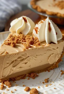 No Bake Biscoff Pie